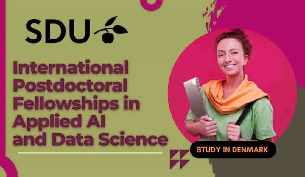 SDU Postdoctoral Fellowships for International Candidates in Applied AI and Data Science, Denmark