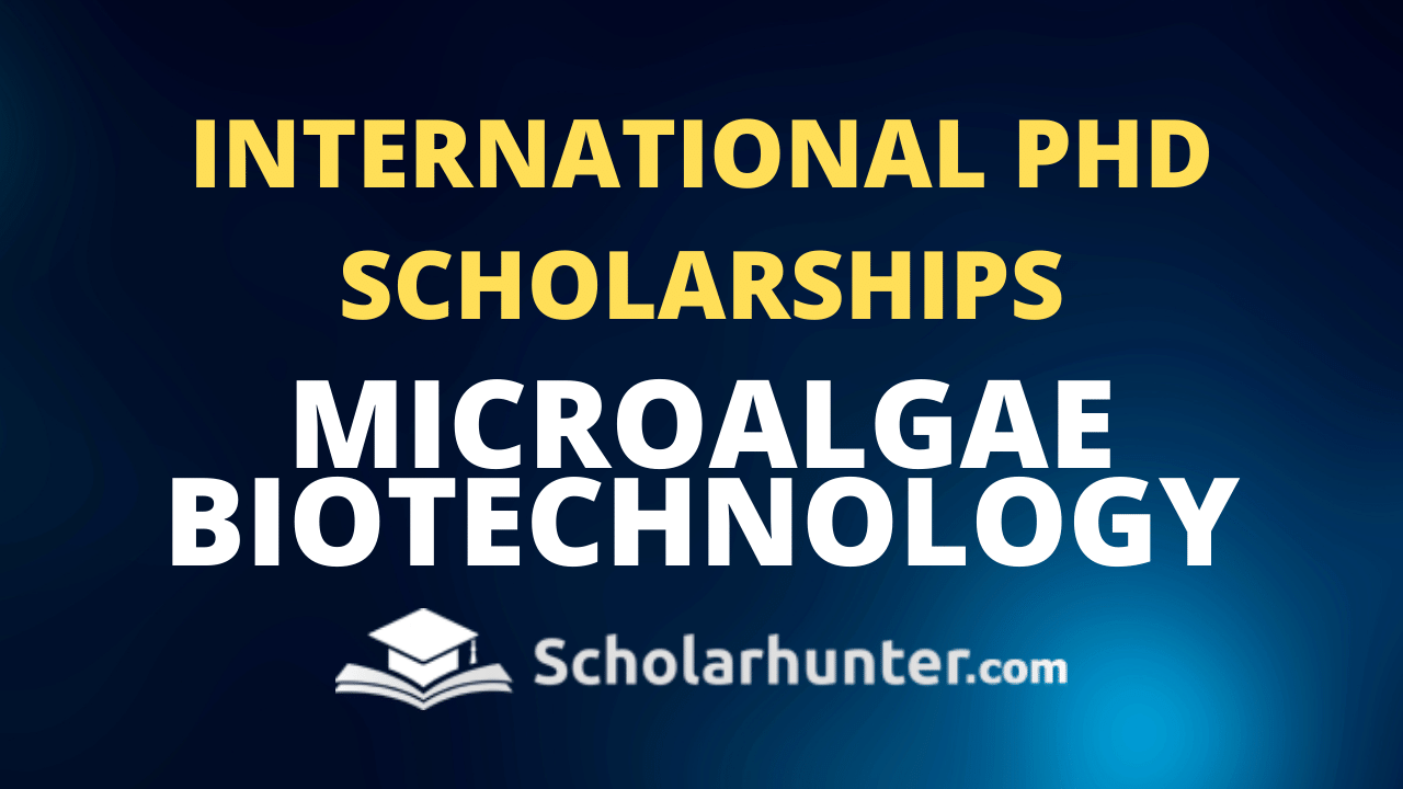 phd biotechnology scholarships