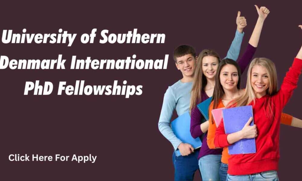 University of Southern Denmark International PhD Fellowships