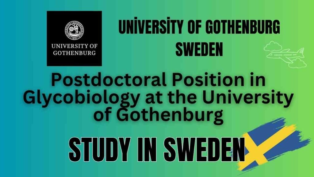 Postdoctoral Position 2025 in Glycobiology at the University of Gothenburg