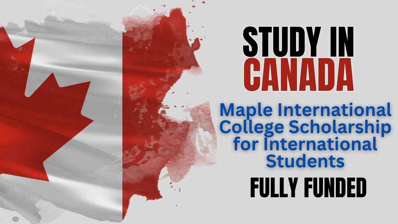 Maple International College Scholarship for International Students in Canada